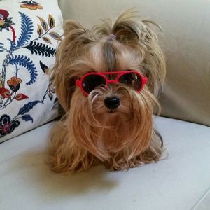 Meet your Posher, Delorace